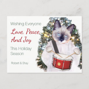 Carte postale Kitten Carol Christmas