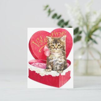 Carte Postale Kitten dans Candy Box