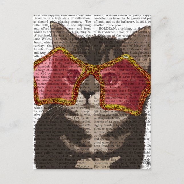 Carte Postale Kitten dans les lunettes de soleil étoilées (Devant)
