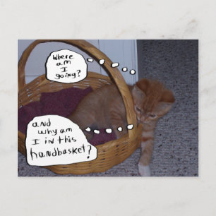 Carte Postale Kitten dans un panier