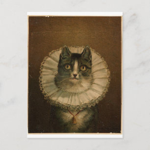Carte Postale Kitten dans un ruff élisabéthain