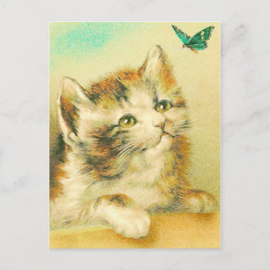 Carte Postale Kitten Et Papillon Vintage