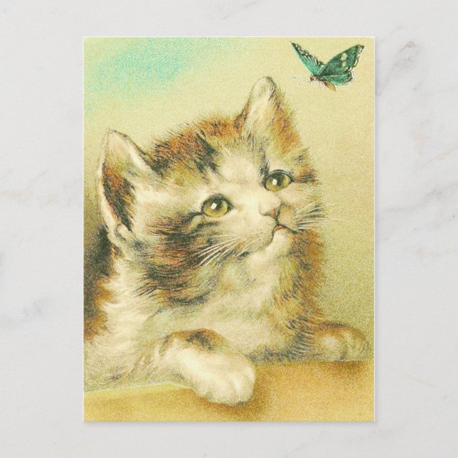 Carte Postale Kitten Et Papillon Vintage (Devant)