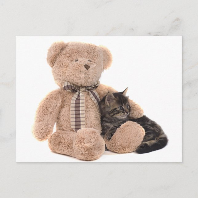Carte Postale kitten in the arms of a teddy bear (Devant)