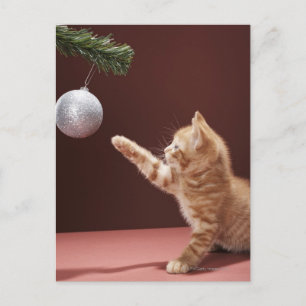 Carte Postale Kitten Jouer avec l'ornement