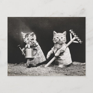 Carte Postale Kitties jardinage Kitty avec Rake