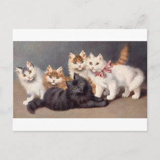 Carte Postale Kitty