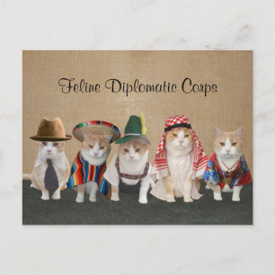 Carte Postale Kitty Ambassadeurs