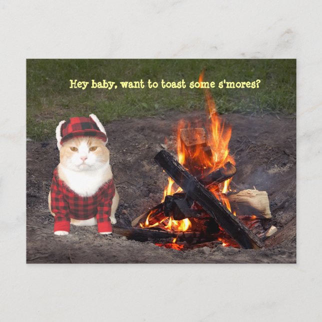 Carte Postale Kitty Campfire (Devant)