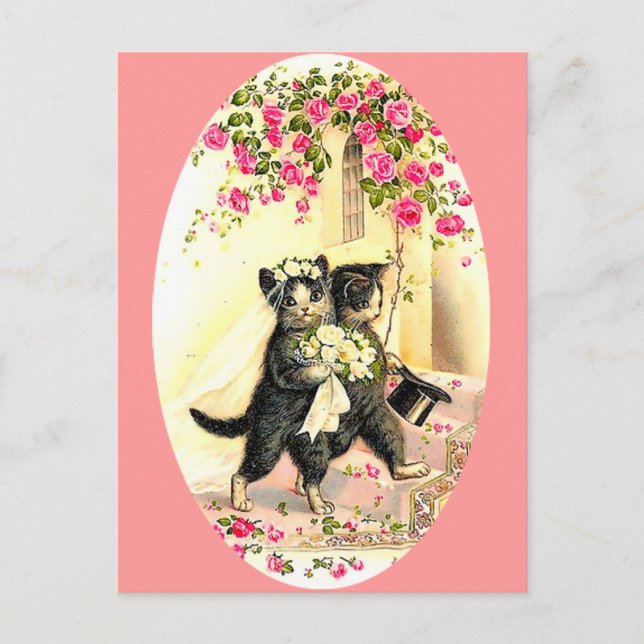 Carte Postale Kitty Cat (Devant)