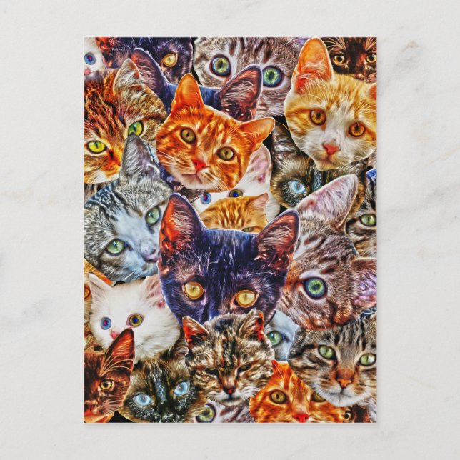 Carte Postale Kitty Cat Collage (Devant)