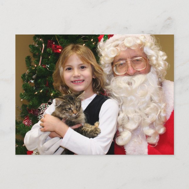 Carte Postale Kitty - Chat - Harmening (Devant)