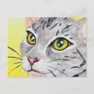 Carte postale Kitty Closeup