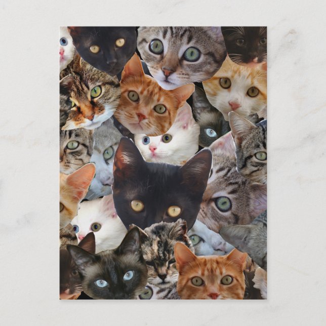 Carte Postale Kitty Collage (Devant)