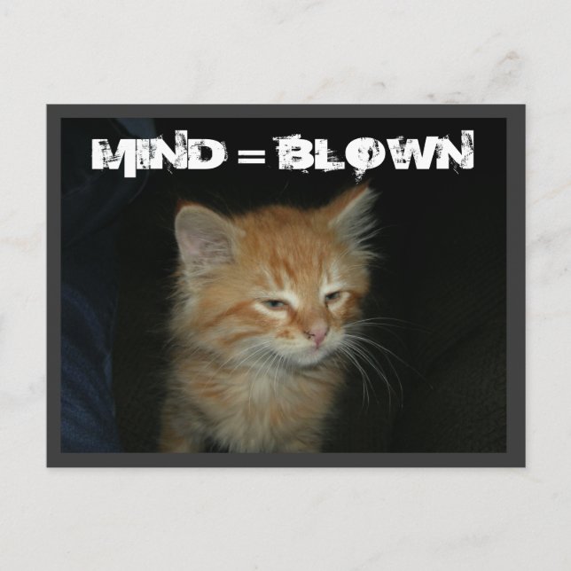 Carte postale Kitty "MIND = BLOWN" (Devant)