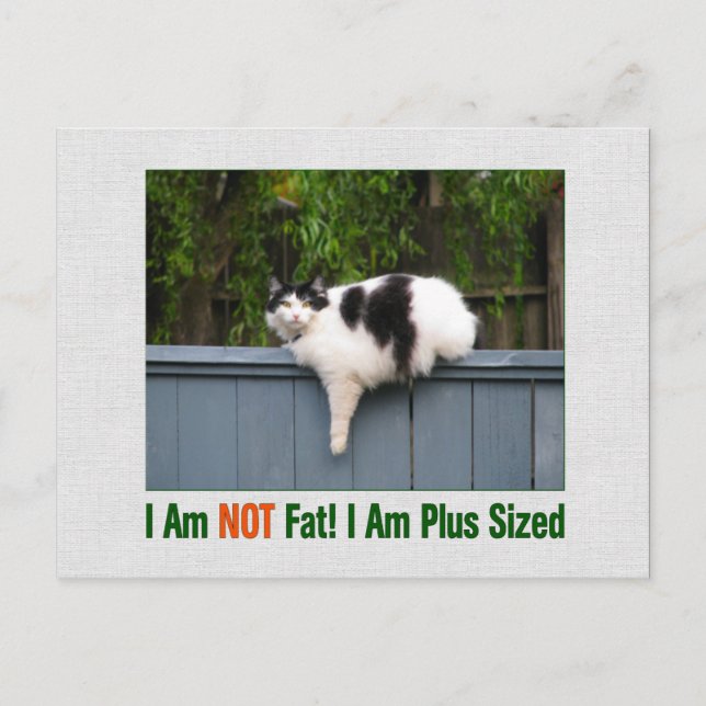 Carte Postale Kitty plus taille (Devant)