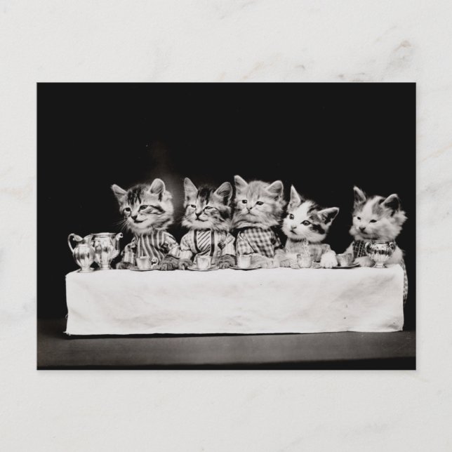 Carte Postale Kitty Tea Party (Devant)