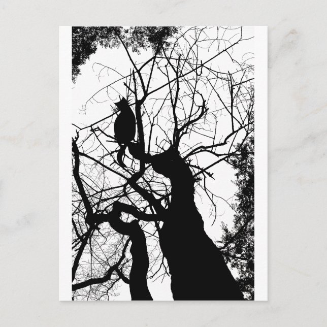 CARTE POSTALE KITTY TREE SILHOUETTE B&W (Devant)