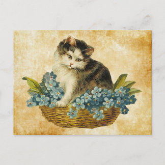 Carte Postale Kitty vintage dans le panier