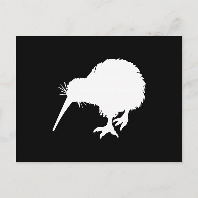 Carte Postale Kiwi Bird (Devant)