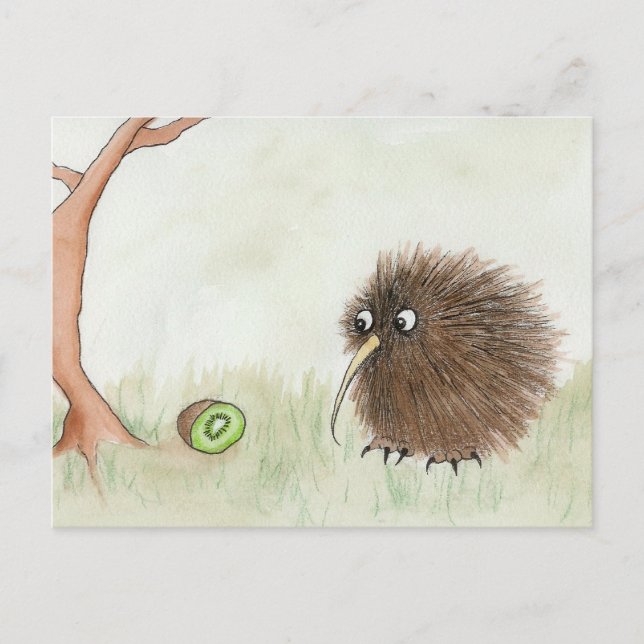 Carte Postale Kiwi Bird et Kiwi Fruit (Devant)