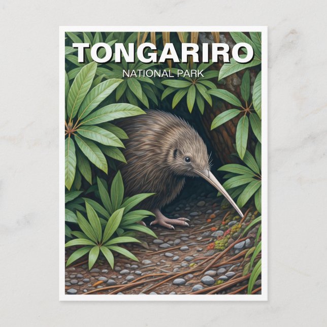 Carte Postale Kiwi dans le Parc national de Tongariro Nouvelle-Z (Devant)