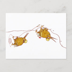 Carte Postale Kiwi NZ BIRDS ROCK ESCALADE