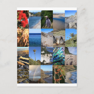 Carte Postale Kiwiana pittoresque côtière de Nouvelle-Zélande