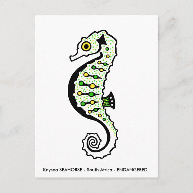 Carte Postale Knysna SEAHORSE - Amoureux des animaux - Nature -  (Devant)