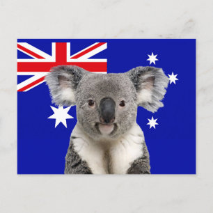 Carte Postale Koala avec l'Arrière - plan du drapeau australien