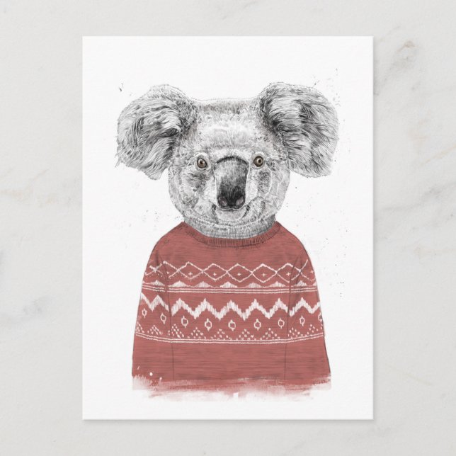 Carte Postale Koala d'hiver (rouge) (Devant)