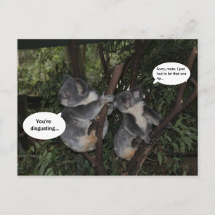 Carte Postale Koala fun