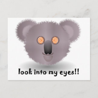 Carte Postale koala hypnotique