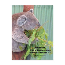 Carte postale Koala Kindness Quote
