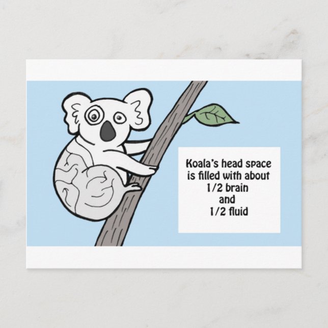 Carte Postale Koala, le cerveau cahoteux (Devant)