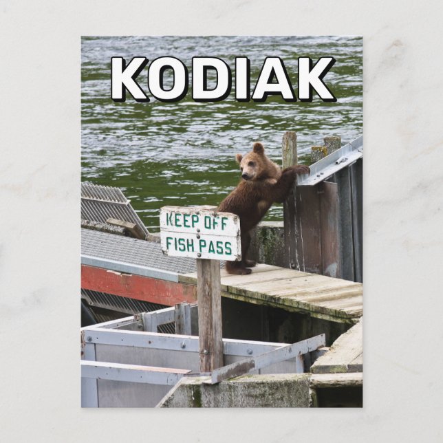 Carte Postale Kodiak Bear Rompt Les Règles (Devant)