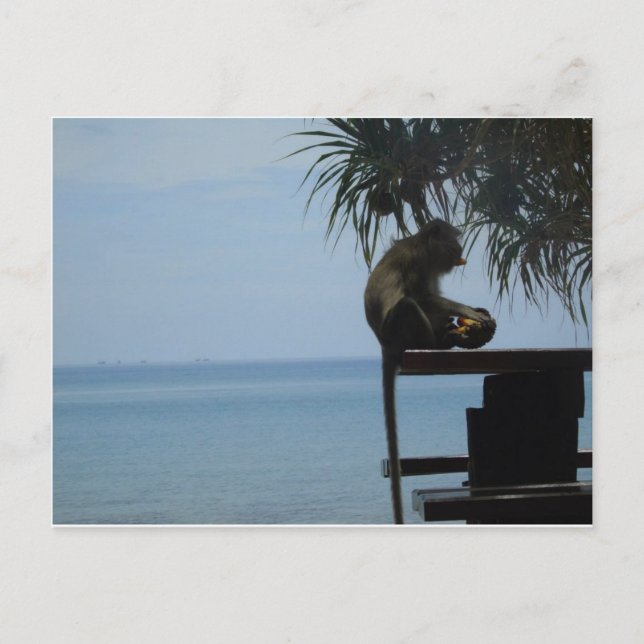 Carte Postale Koh Lanta (Devant)