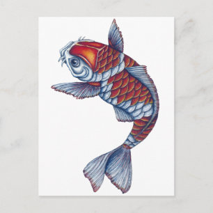 Carte Postale Kohaku Koi Fish