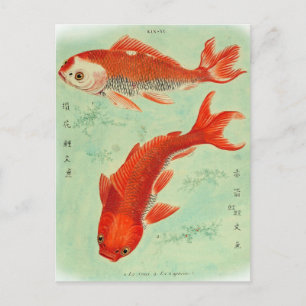 Carte postale Koi Fish