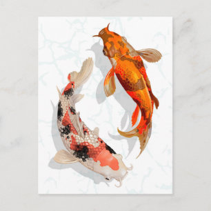 Carte Postale Koi Fish