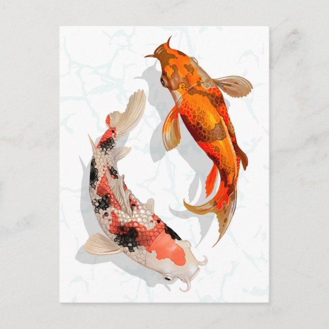 Carte Postale Koi Fish (Devant)