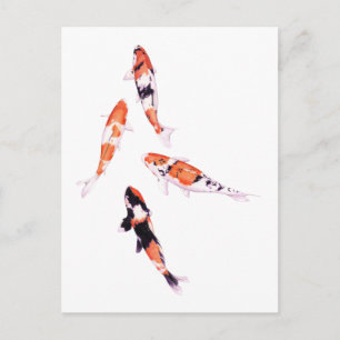 Carte postale Koi flottante