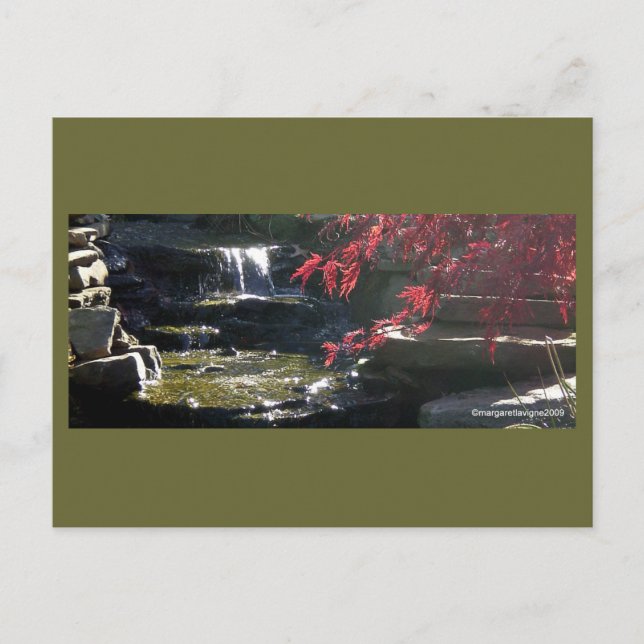 Carte Postale Koi Pond à HFSC (Devant)