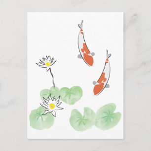 Carte Postale Koi Pond - Arrière - plan blanc
