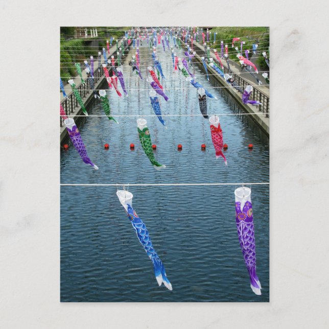 Carte Postale Koinobori (serpentins de carpe) : Japon (Devant)