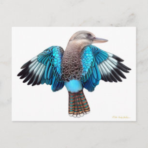 Carte postale Kookaburra à ailes bleues