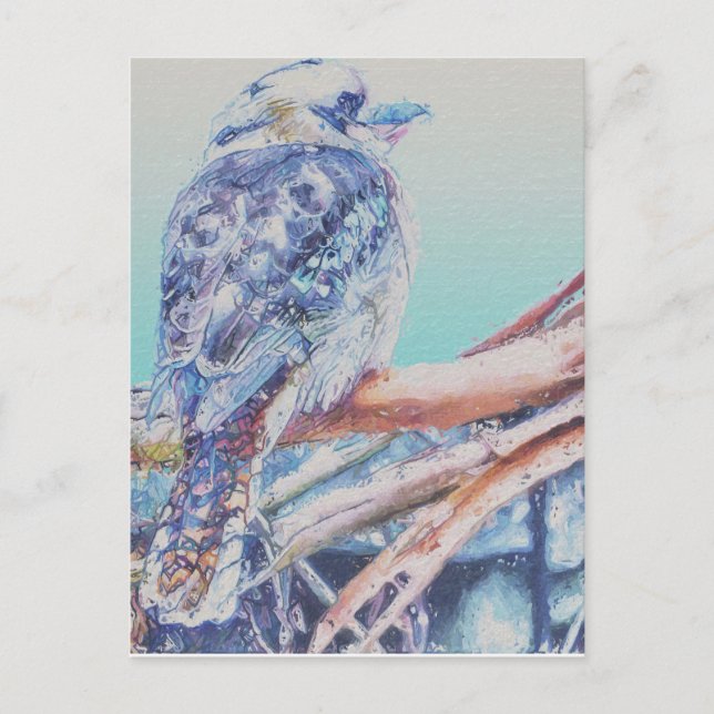 Carte Postale Kookaburra australien (Devant)