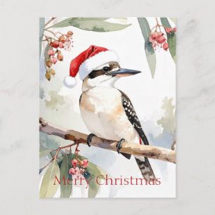 Carte Postale Kookaburra australien chapeau de Père Noël Joyeux