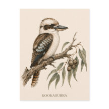Carte postale Kookaburra | Édition Bush