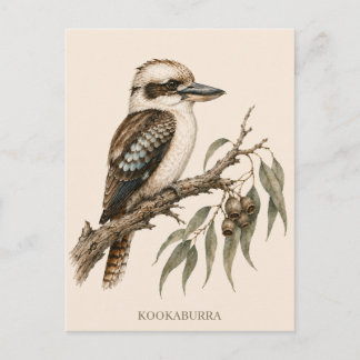 Carte postale Kookaburra | Édition Bush